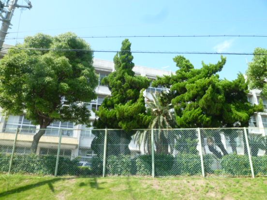 江井島中学校の画像
