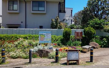 世田谷区立若林このてがしわ公園の画像