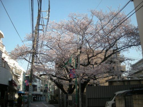 渋谷区立十三号通り公園の画像