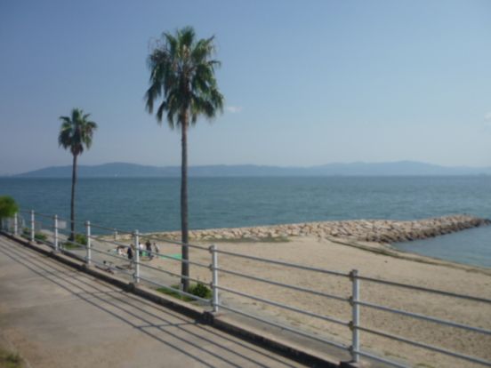 江井島海岸の画像