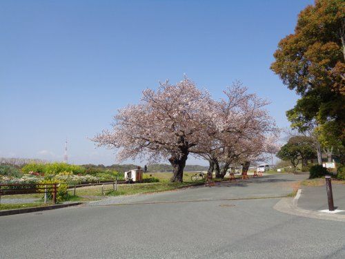 佐鳴湖公園の画像