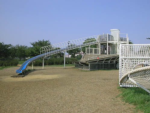 都立大島小松川公園の画像