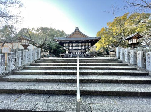 向日神社の画像