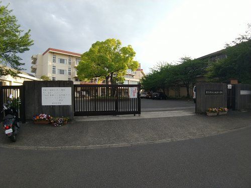 習志野市立秋津小学校の画像