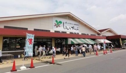 JA千葉みらい しょいか-ご千葉店の画像