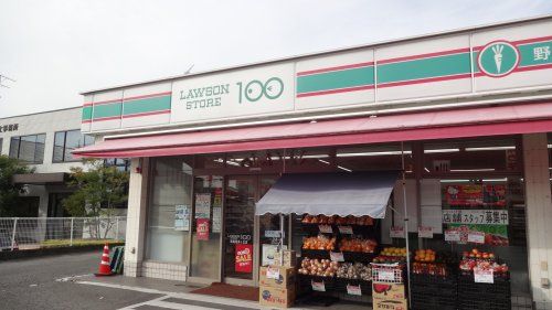 ローソンストア100 LS岡崎竜美ヶ丘店の画像