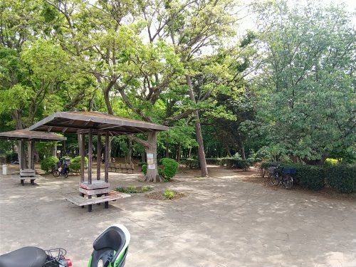 田喜野井公園の画像