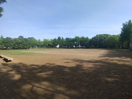 一本松公園の画像