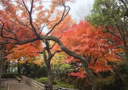 蘇峰公園の画像