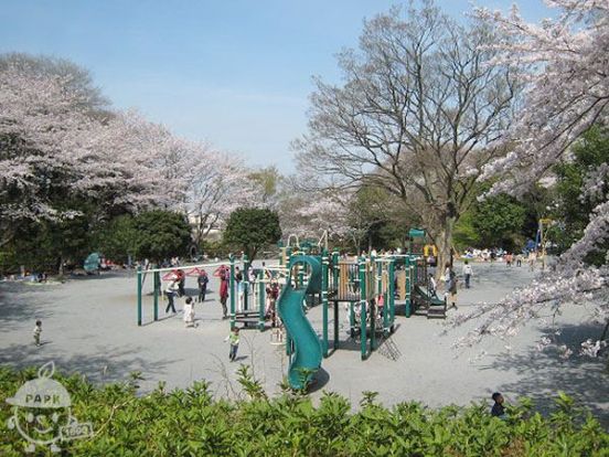 新林公園の画像