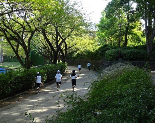 松戸運動公園の画像