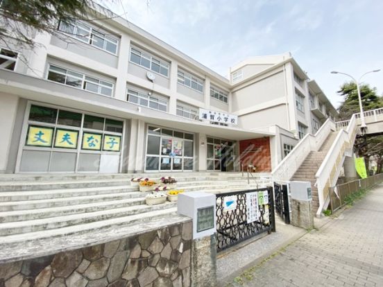 横須賀市立浦賀小学校の画像