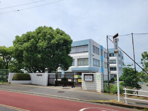 藤沢市立駒寄小学校の画像