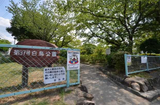 白鳥公園の画像