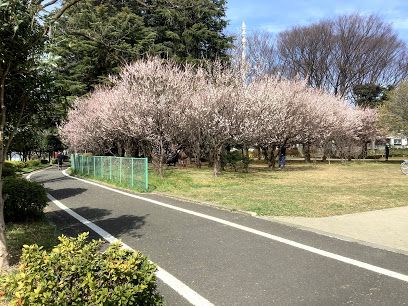 緑陰広場の画像