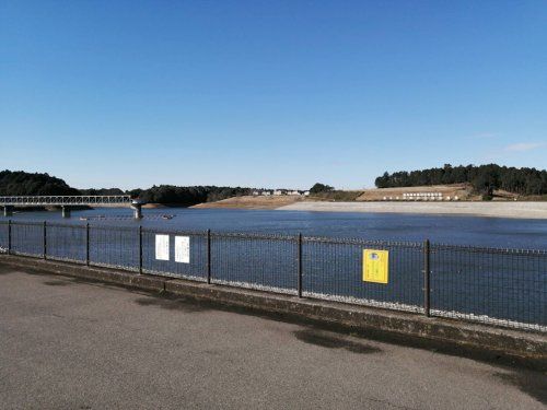 東金ダム（ときがね湖展望広場）の画像