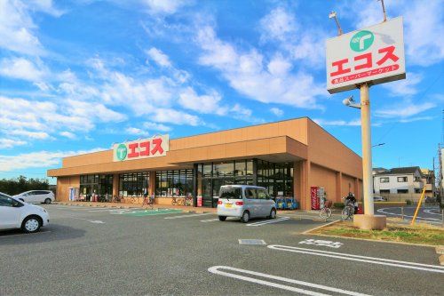 エコス 市川島尻店の画像