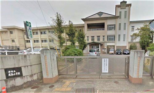 成美小学校の画像