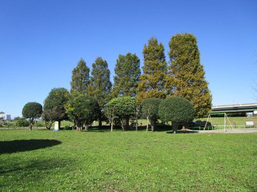 三崎公園の画像