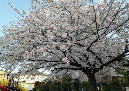 春日公園の画像