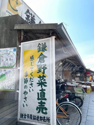 鎌倉野菜即売所の画像