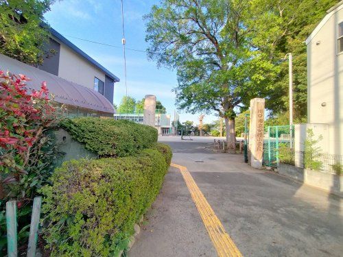 安行小学校の画像