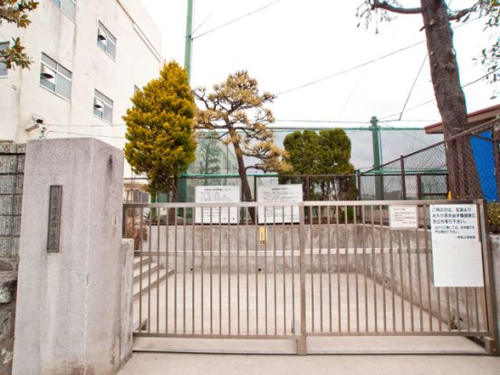横浜市立一本松小学校の画像