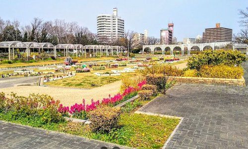 住之江公園の画像