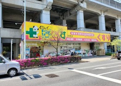 どらっぐぱぱす 浮間店の画像