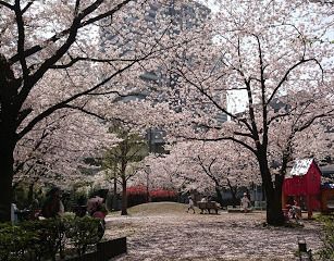 港南三丁目遊び場の画像