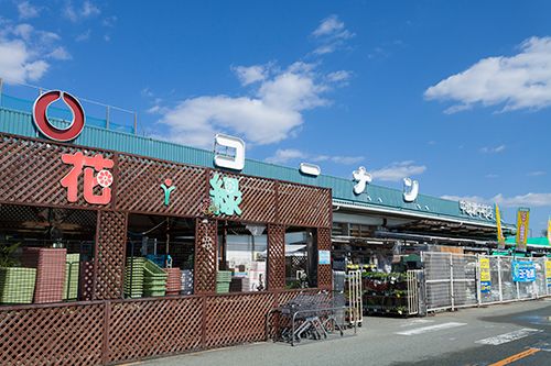 コーナン　中環堺中村店の画像