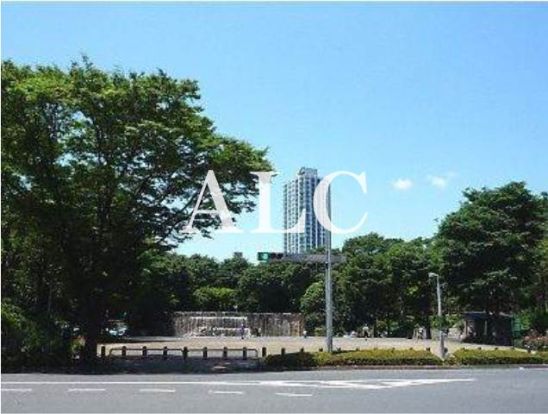 新宿中央公園の画像