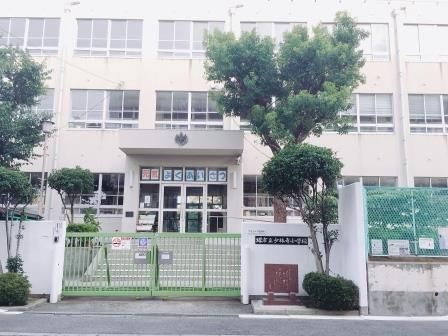 堺市立少林寺小学校の画像