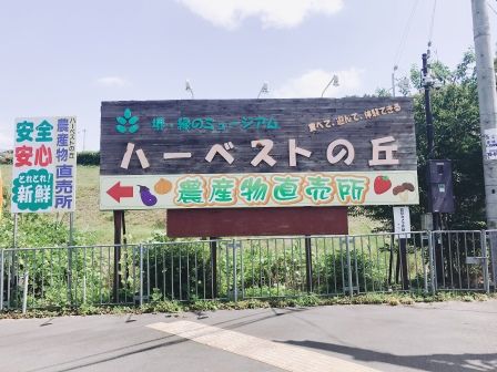 堺 緑のミュージアム ハーベストの丘の画像