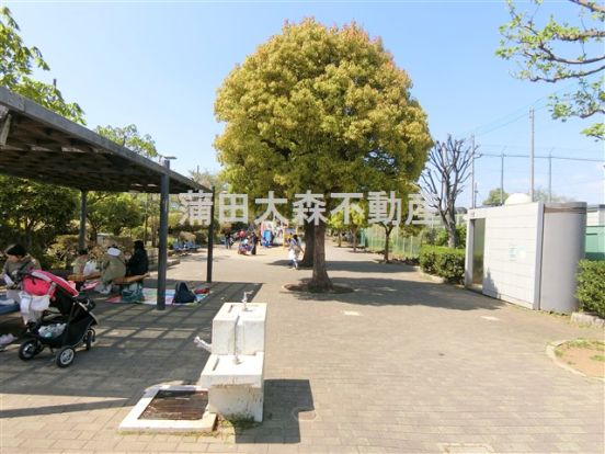 東調布公園の画像