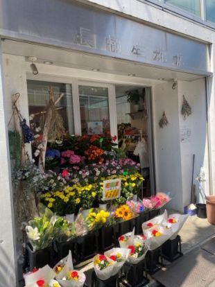 長岡生花店の画像