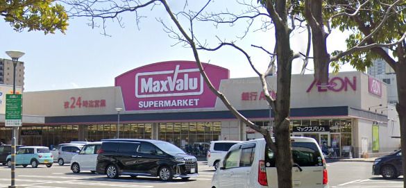 Maxvalu(マックスバリュ) 太子橋店の画像