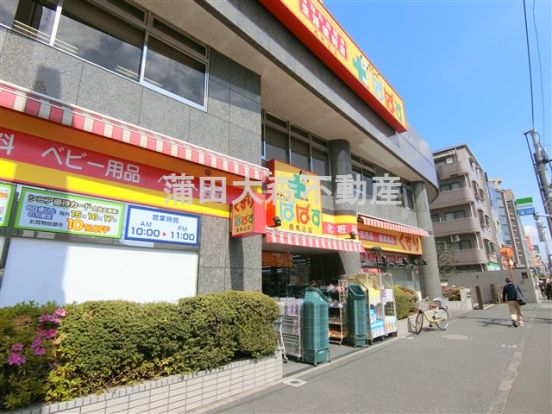 どらっぐぱぱす 西馬込店の画像