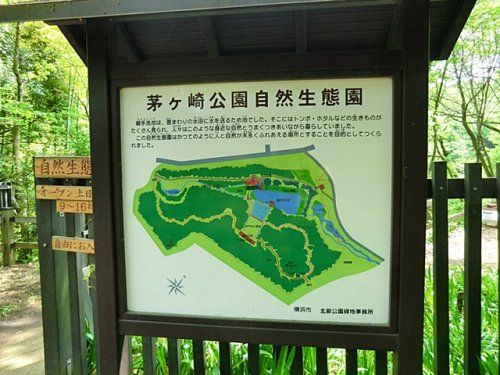 茅ヶ崎公園プールの画像
