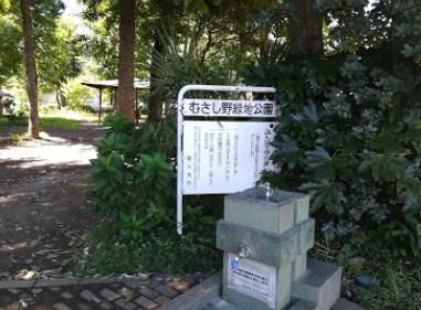 むさし野緑地公園の画像