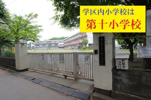 東久留米市立第十小学校の画像