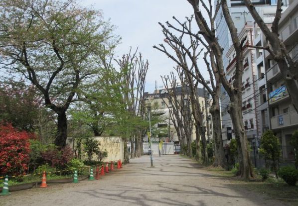 神宮通公園の画像