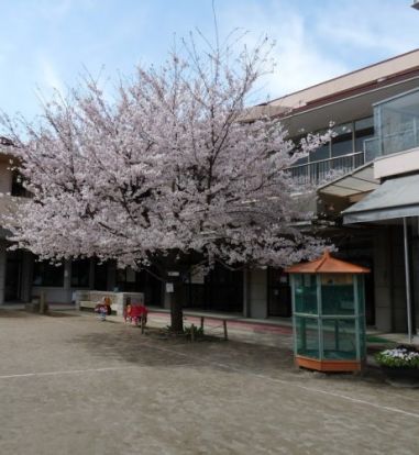 認定こども園多摩川幼稚園の画像