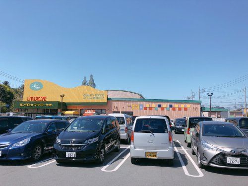 ﾗﾝﾄﾞﾛｰﾑﾌｰﾄﾞﾏｰｹｯﾄ龍ヶ岡店の画像