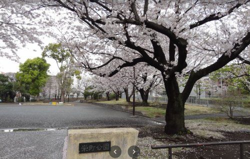 栄町公園の画像