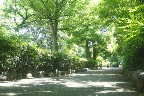 洲崎川緑道公園の画像