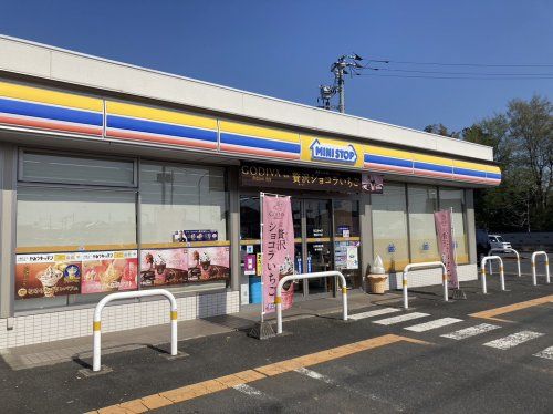 ミニストップ 野田次木店の画像