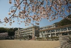 姫路市立　青山小学校の画像