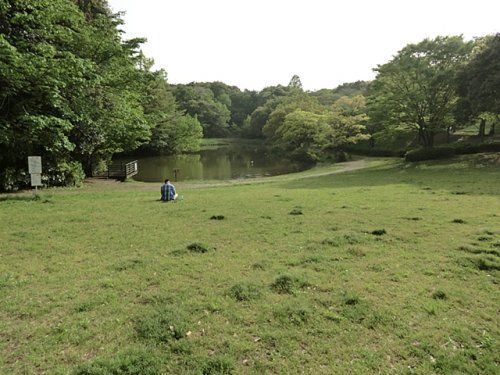 鴨池公園の画像