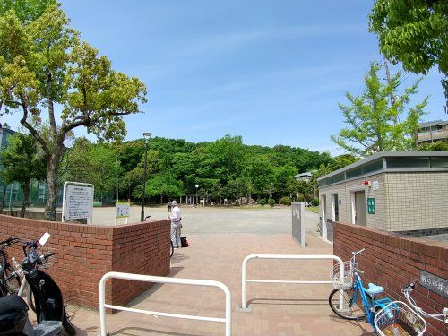 田喜野井公園の画像